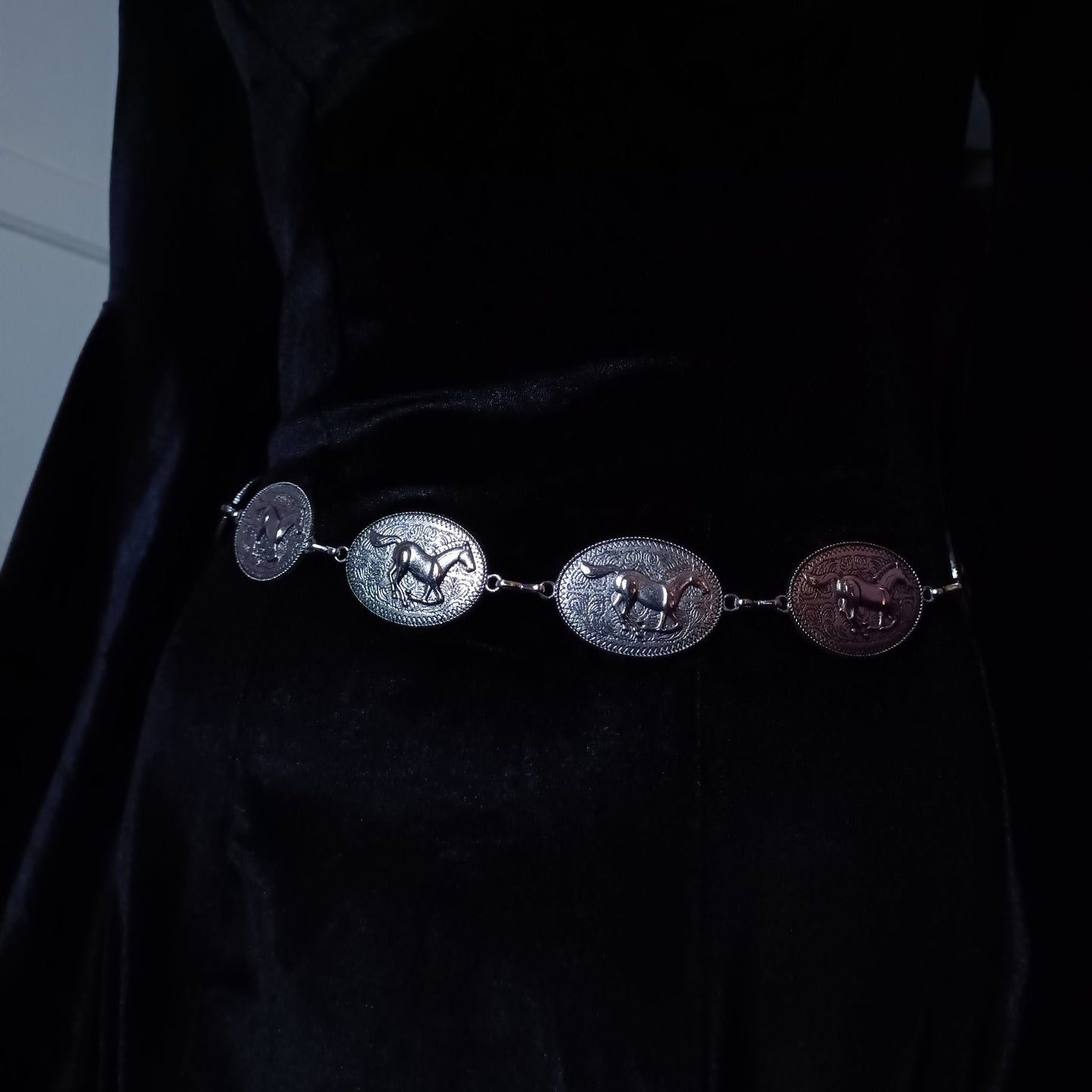 Cowboy Belt / Horse belt