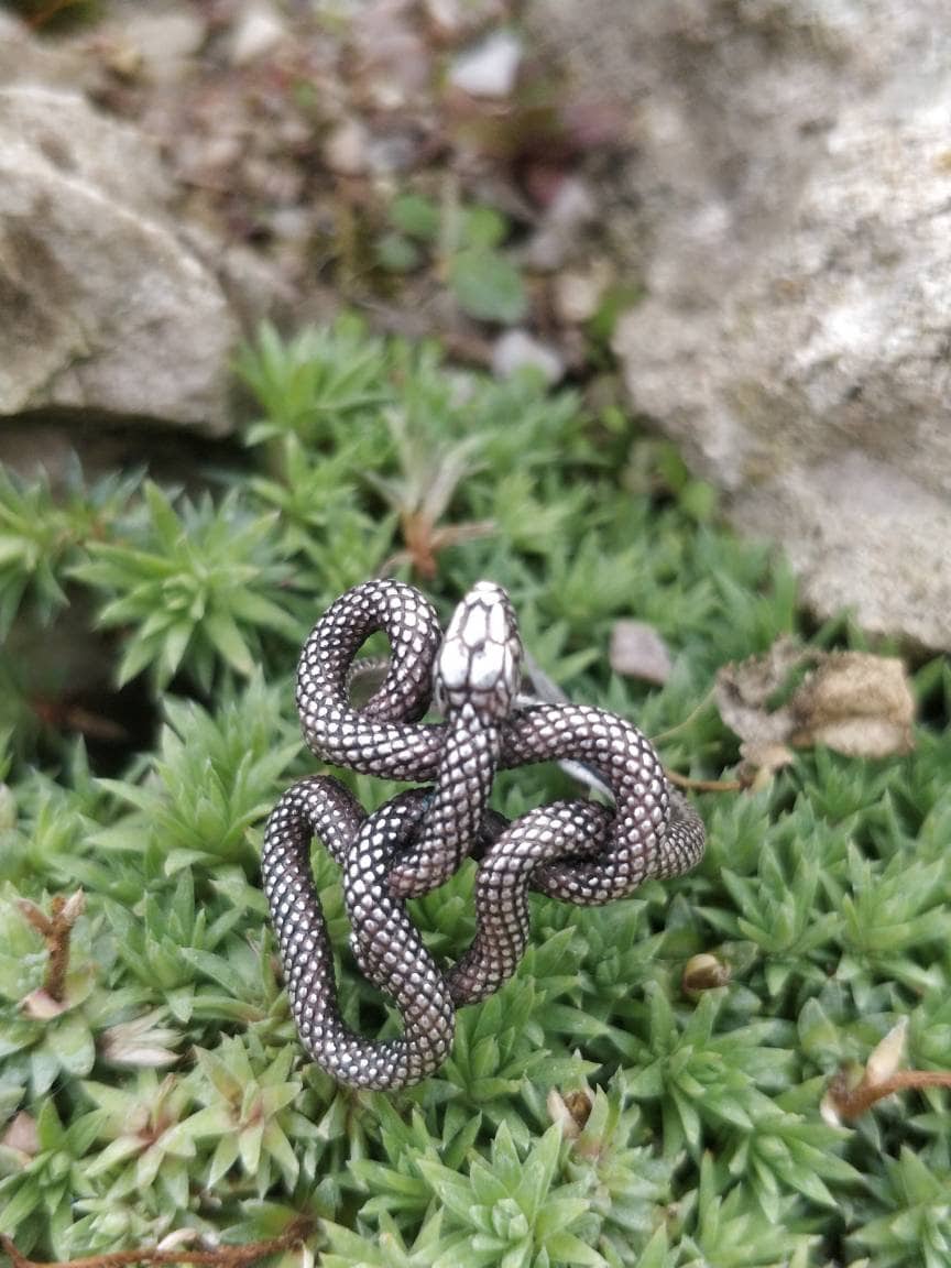 Entwined Snake Ring (Small Version)