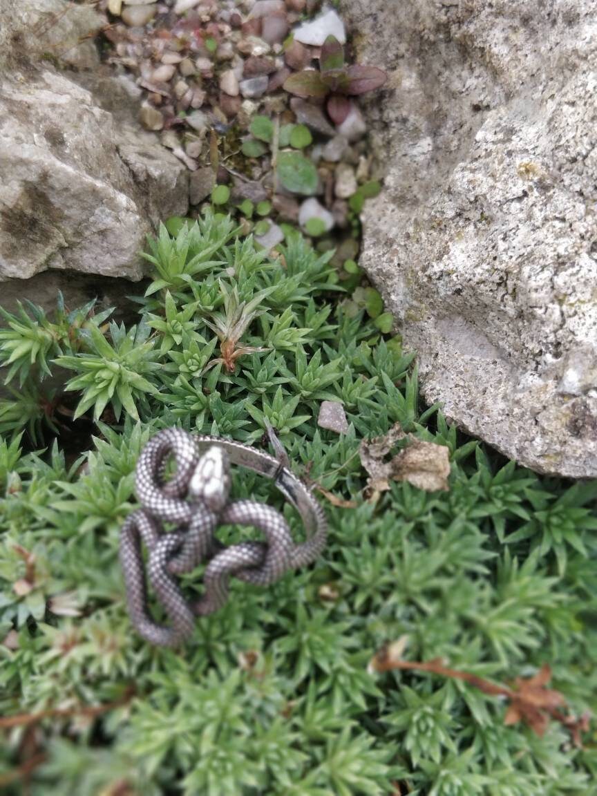 Entwined Snake Ring Small Version
